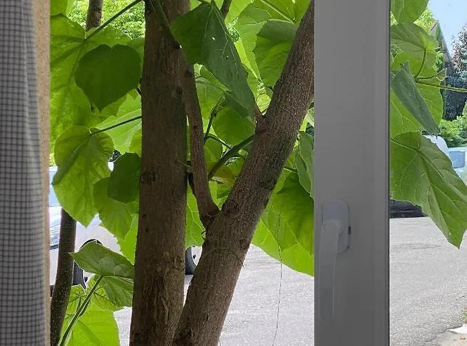 펜션 Lou Mut 렉투르